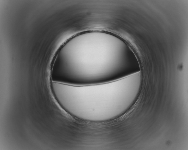 X0000098071424200804040717