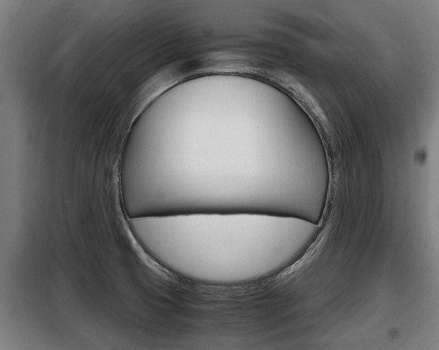 X0000098071425200804040717