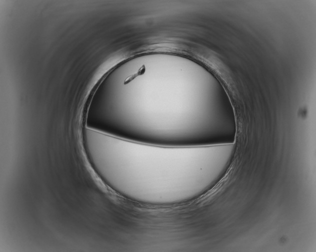 X0000098071426200804040717