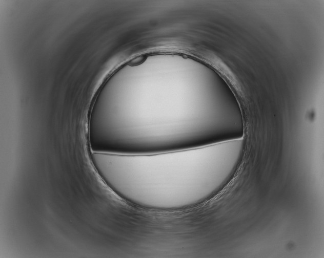 X0000098071428200804040717