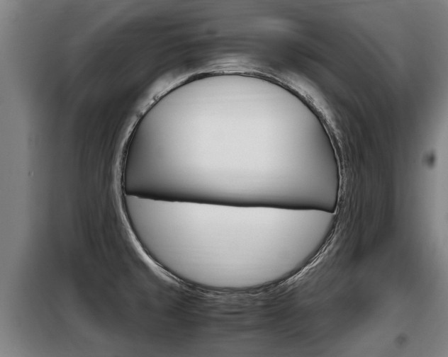 X0000098071429200804040717