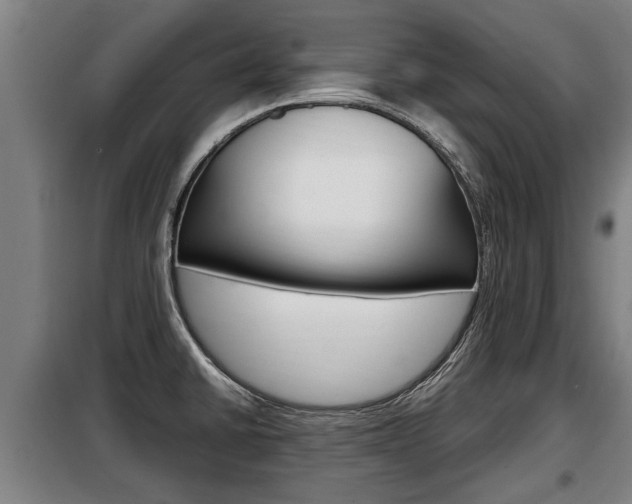 X0000098071430200804040717