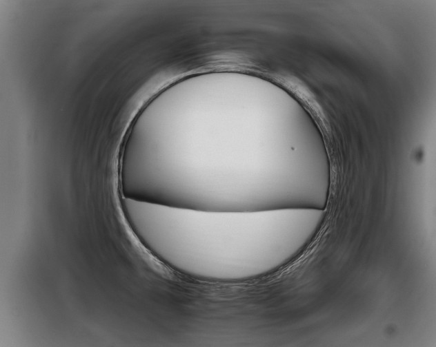 X0000098071431200804040717