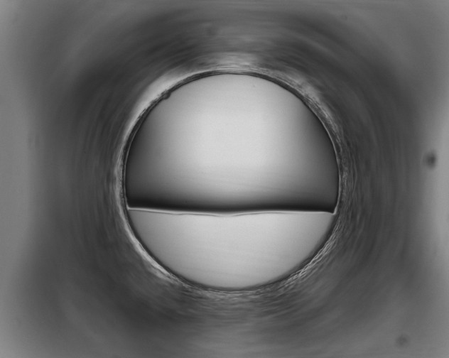 X0000098071432200804040717