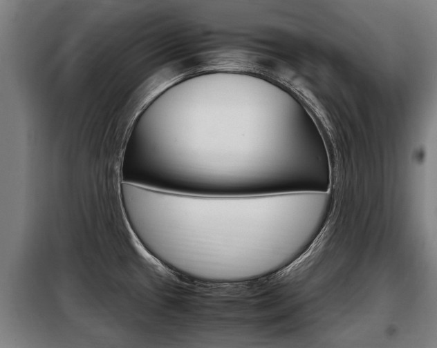 X0000098071433200804040717