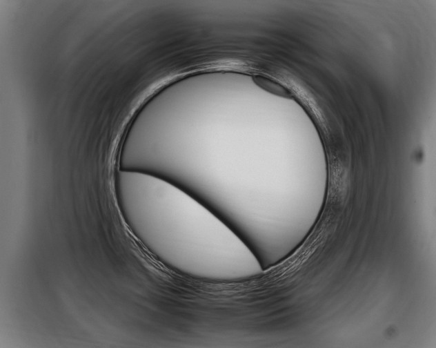 X0000098071435200804040717