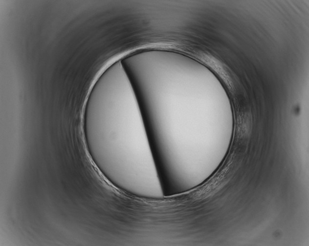 X0000098071436200804040717