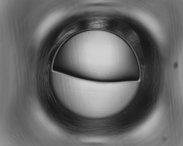 X0000098071438200804040717