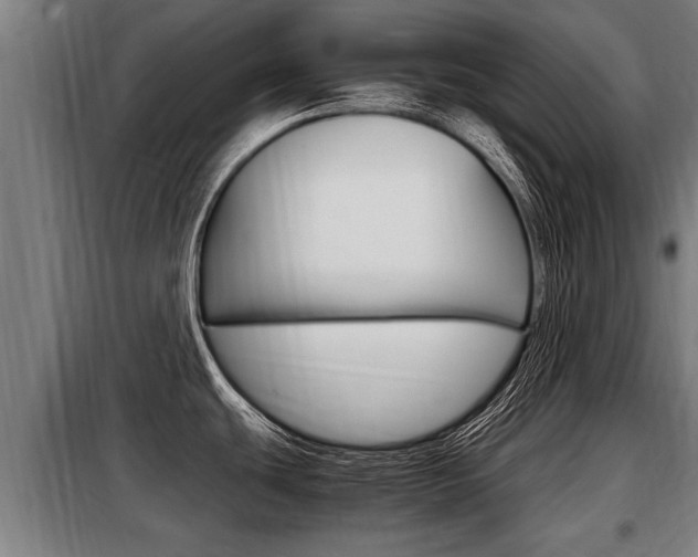 X0000098071439200804040717