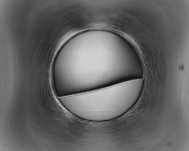 X0000098071440200804040717