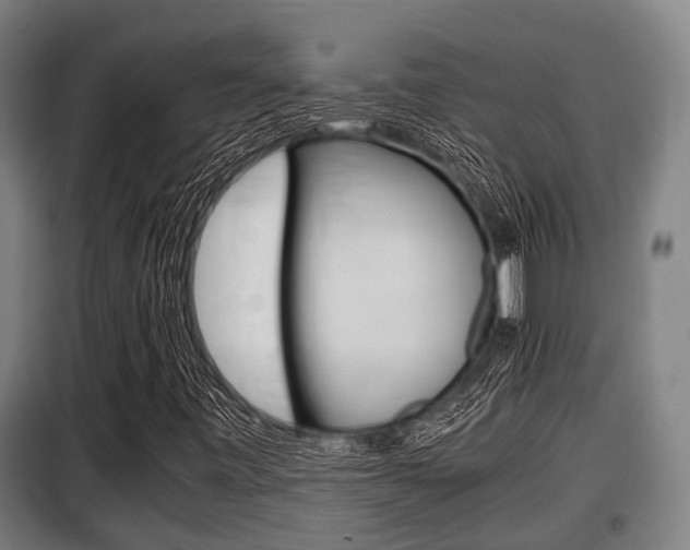 X0000098071443200804040716