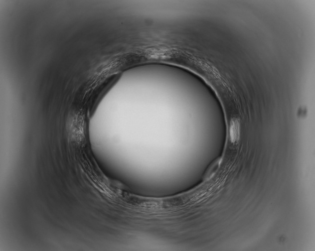 X0000098071444200804040716