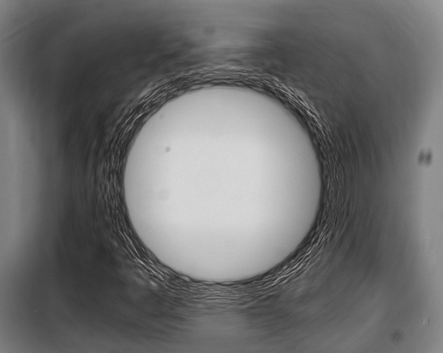 X0000098071445200804040716