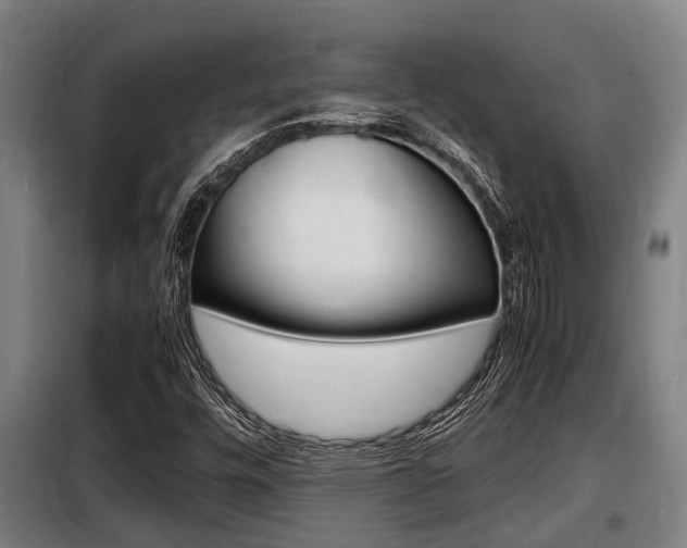 X0000098071448200804040716