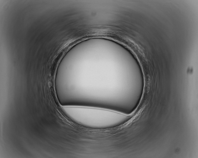 X0000098071449200804040716