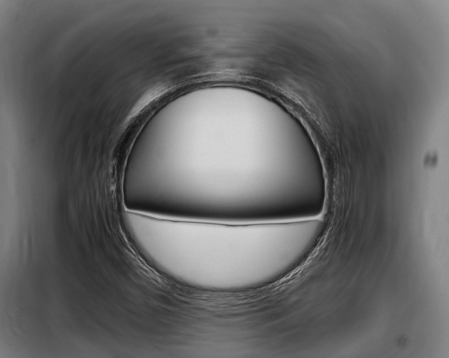 X0000098071450200804040716