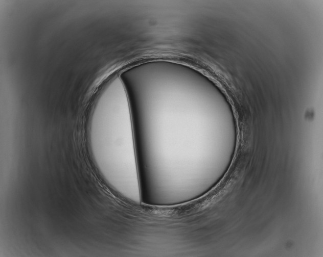 X0000098071453200804040716