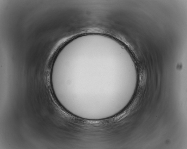 X0000098071454200804040716