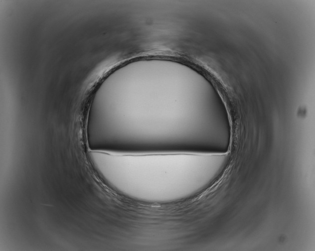 X0000098071455200804040716