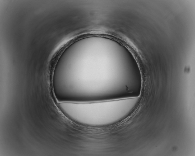 X0000098071456200804040716