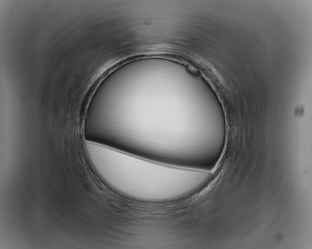 X0000098071457200804040716