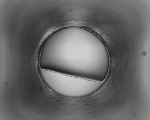 X0000098071459200804040716