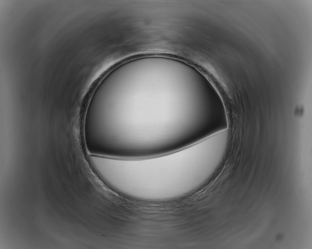 X0000098071460200804040716