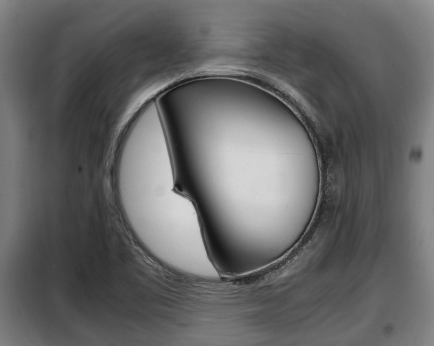 X0000098071461200804040716