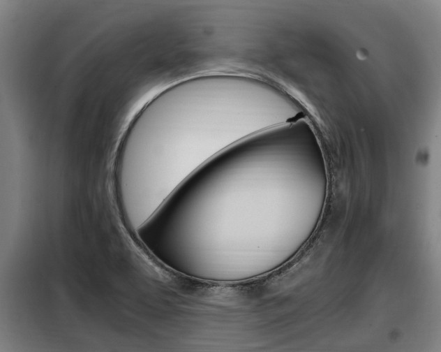 X0000098071463200804040716