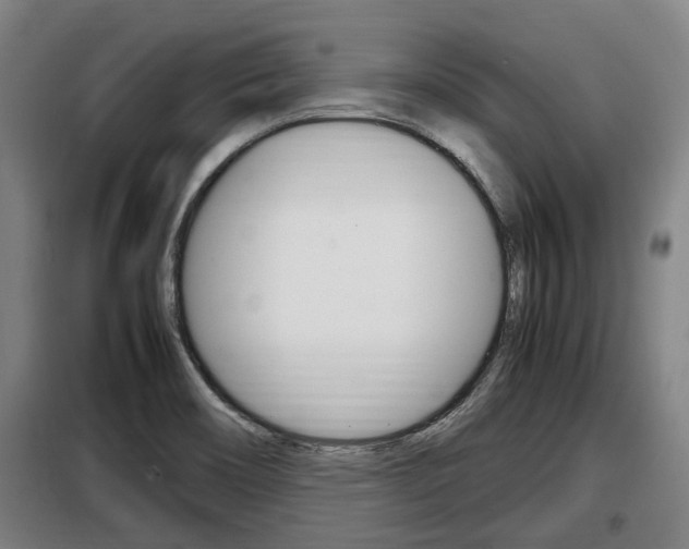 X0000098071466200804040716