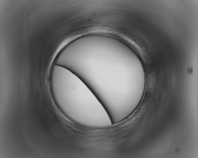 X0000098071467200804040716