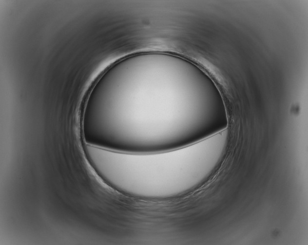 X0000098071468200804040716
