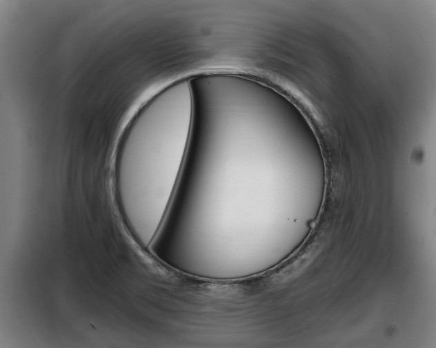 X0000098071469200804040716