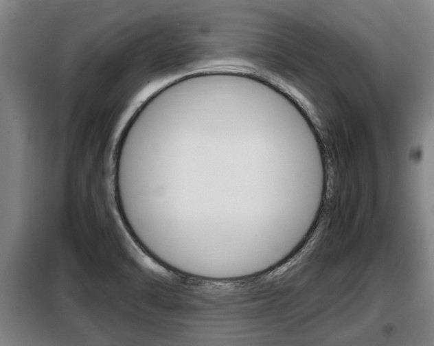 X0000098071470200804040716