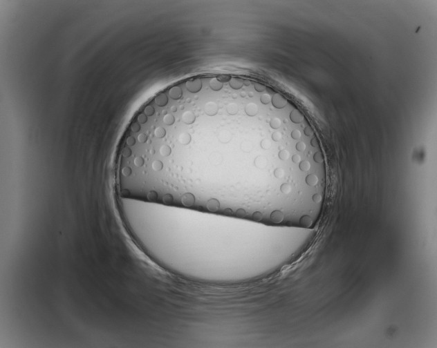 X0000098071471200804040716