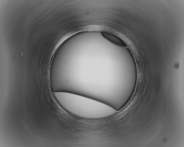 X0000098071473200804040716