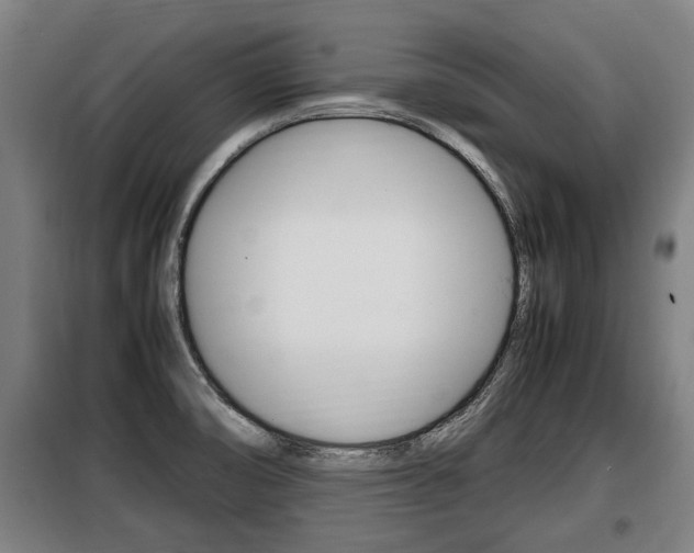 X0000098071474200804040716