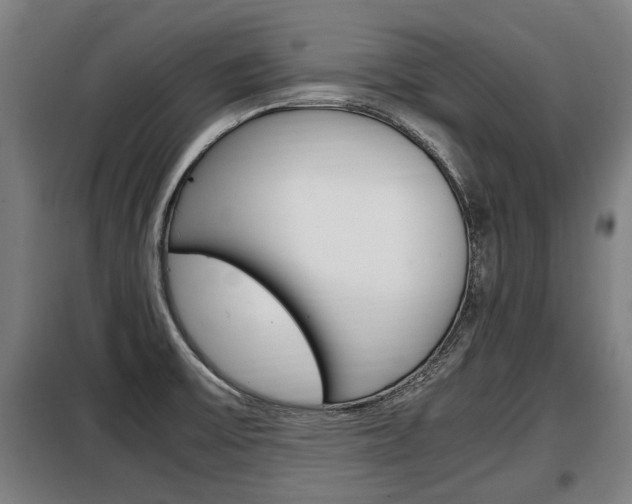 X0000098071475200804040716