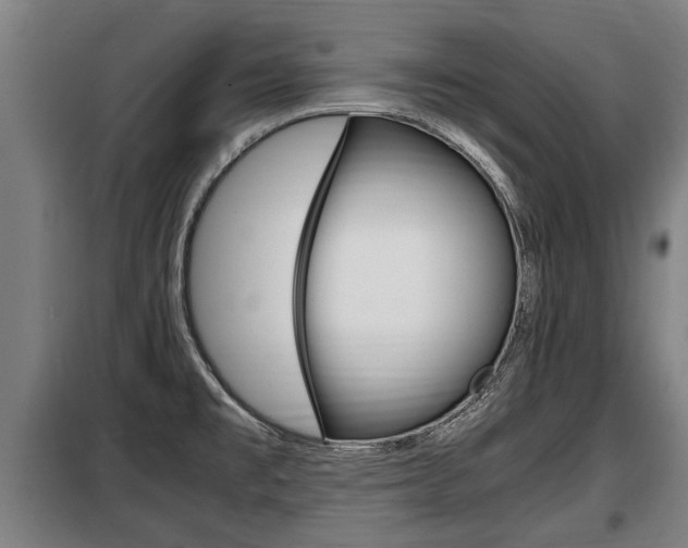 X0000098071477200804040716