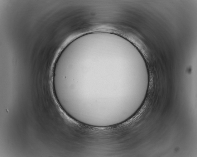 X0000098071478200804040716