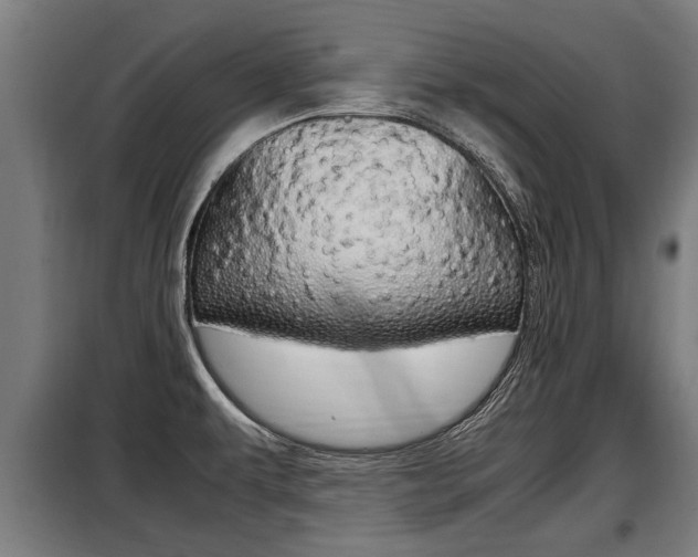 X0000098071479200804040716