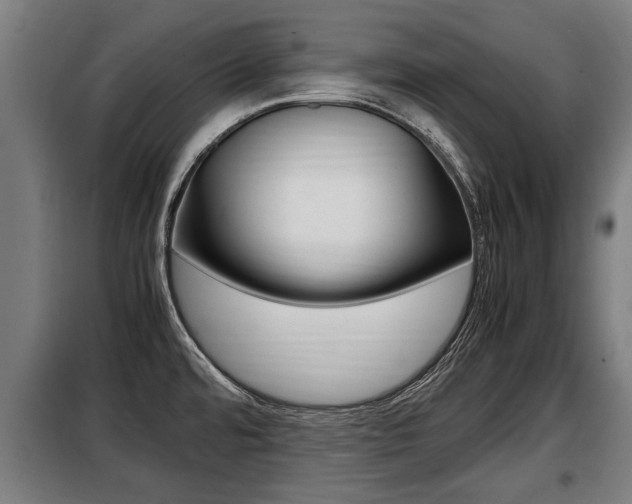 X0000098071480200804040716