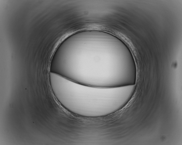 X0000098071481200804040716