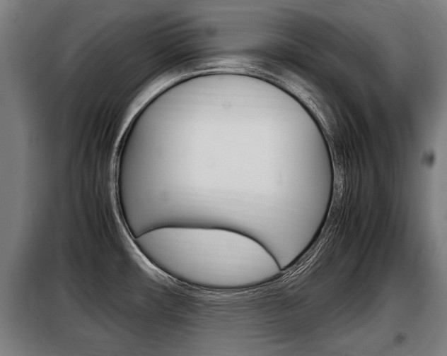 X0000098071482200804040716