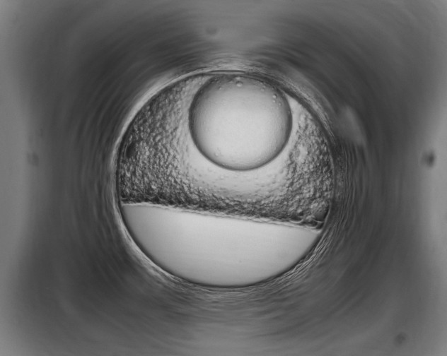 X0000098071483200804040716