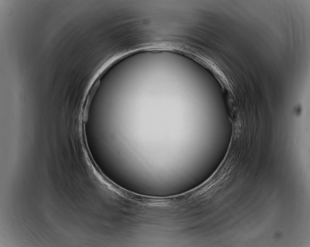 X0000098071484200804040716