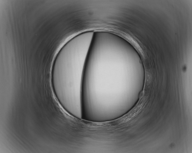 X0000098071485200804040716