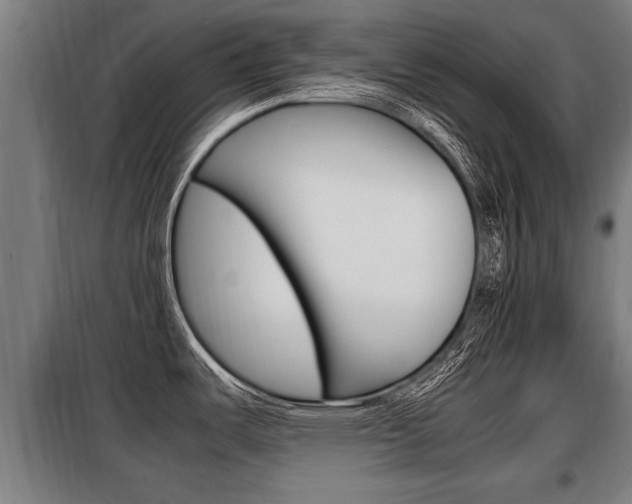 X0000098071487200804040716