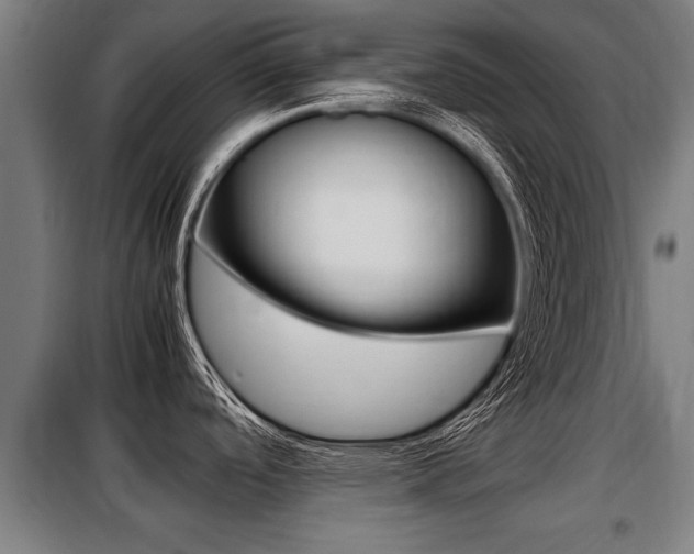 X0000098071488200804040716