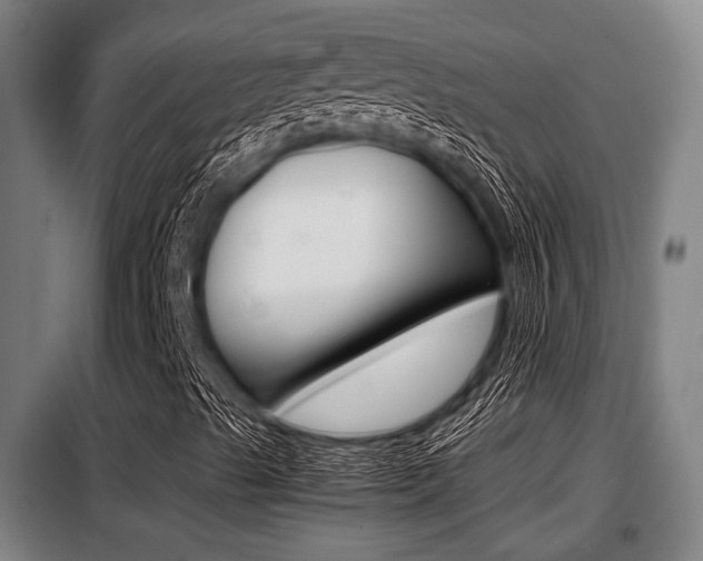 X0000098071489200804040715